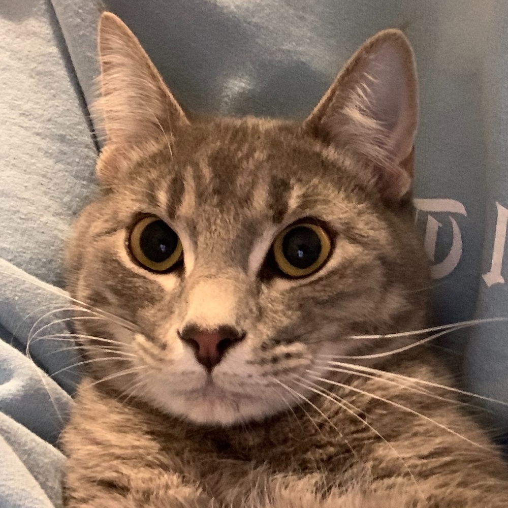 Meet your Posher, Jojo